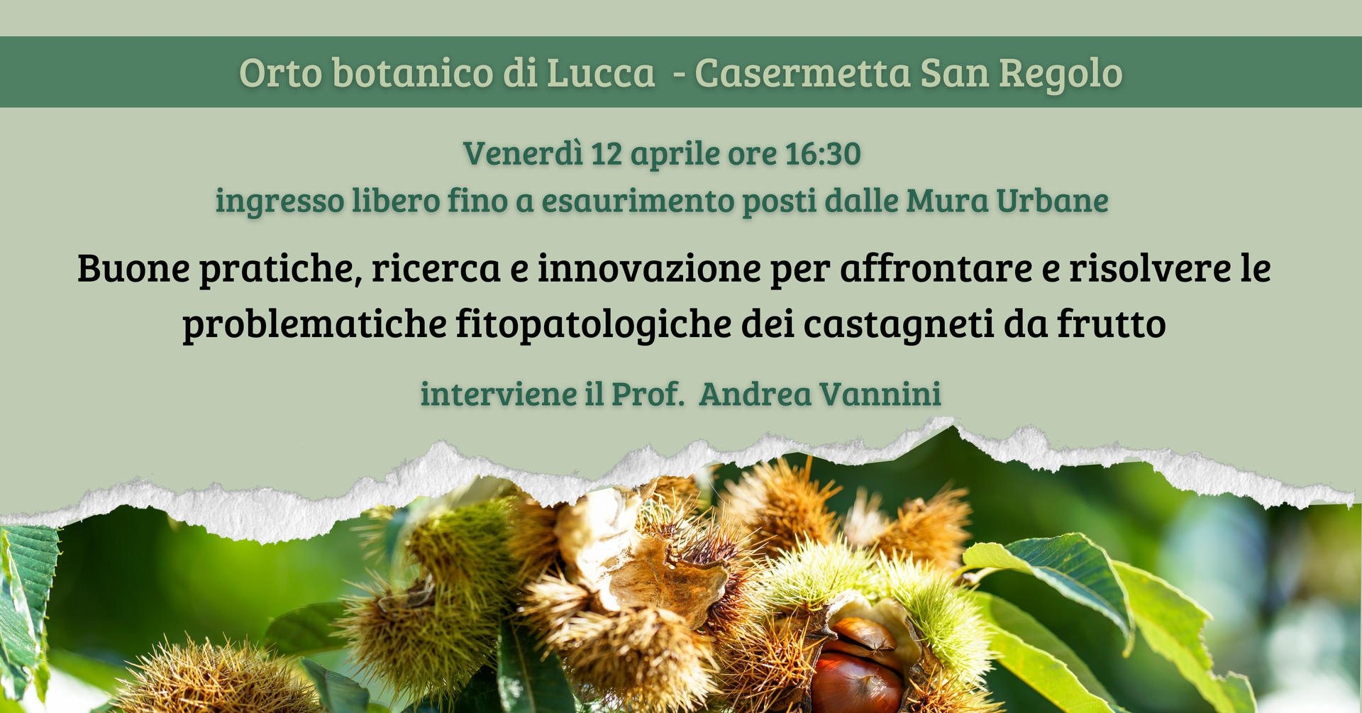 Fitopatologie del castagno a cura del Prof. Andrea Vannini