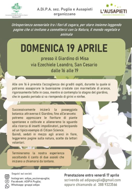 Presso il Giardino di Misa