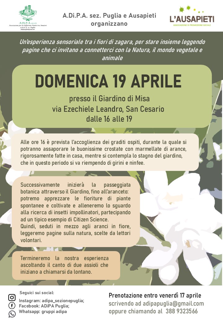 Presso il Giardino di Misa