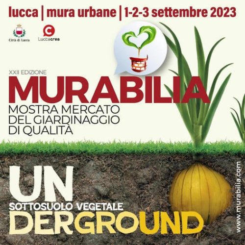 MURABILIA 2023: grande successo per A.Di.P.A.!