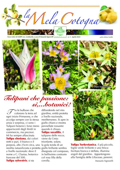 La Newsletter 3/2025 a cura di A.Di.P.A. Sezione Lombardia: notizie dal mondo del verde!