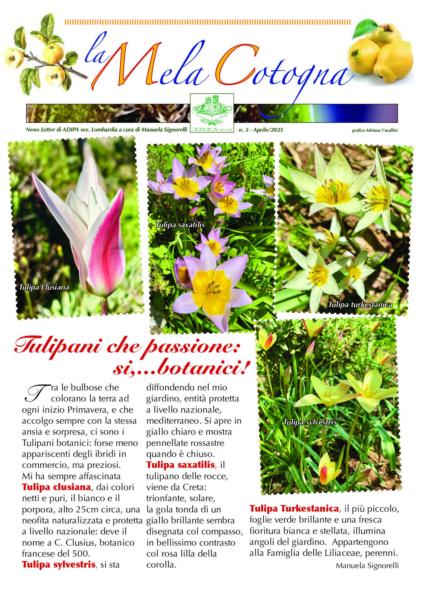 La Newsletter 3/2025 a cura di A.Di.P.A. Sezione Lombardia: notizie dal mondo del verde!