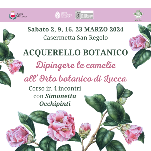 Corso di acquerello botanico all’Orto botanico di Lucca con Simonetta Occhipinti