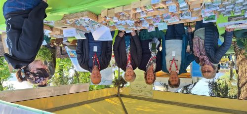 A.Di.P.A. Sede Centrale: cronache da VERDEMURA 2025