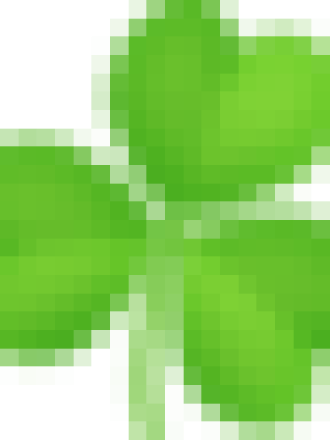A.Di.P.A. Sede Centrale Lucca: mostra-scambio di primavera!