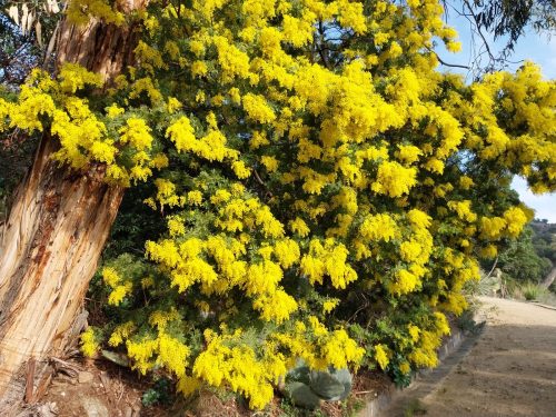 A.Di.P.A. Sezione Piemonte in viaggio verso la costa francese!!