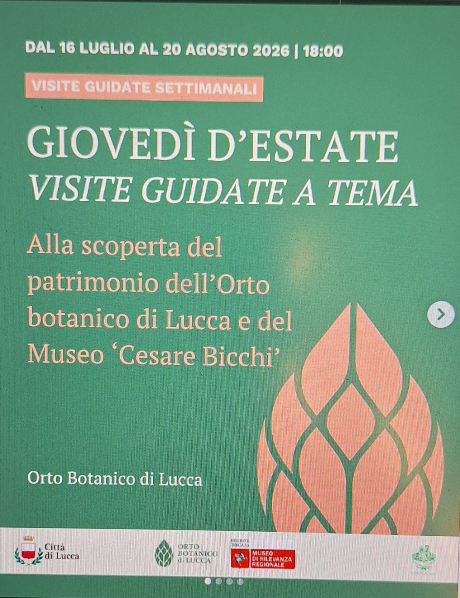 Il Museo “Cesare Bicchi” e il suo Orto prezioso: con apertura straordinaria delle collezioni museali