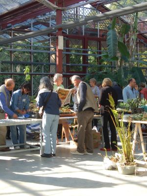 Mostra scambio 12 maggio 2019 – Orto Botanico Lucca