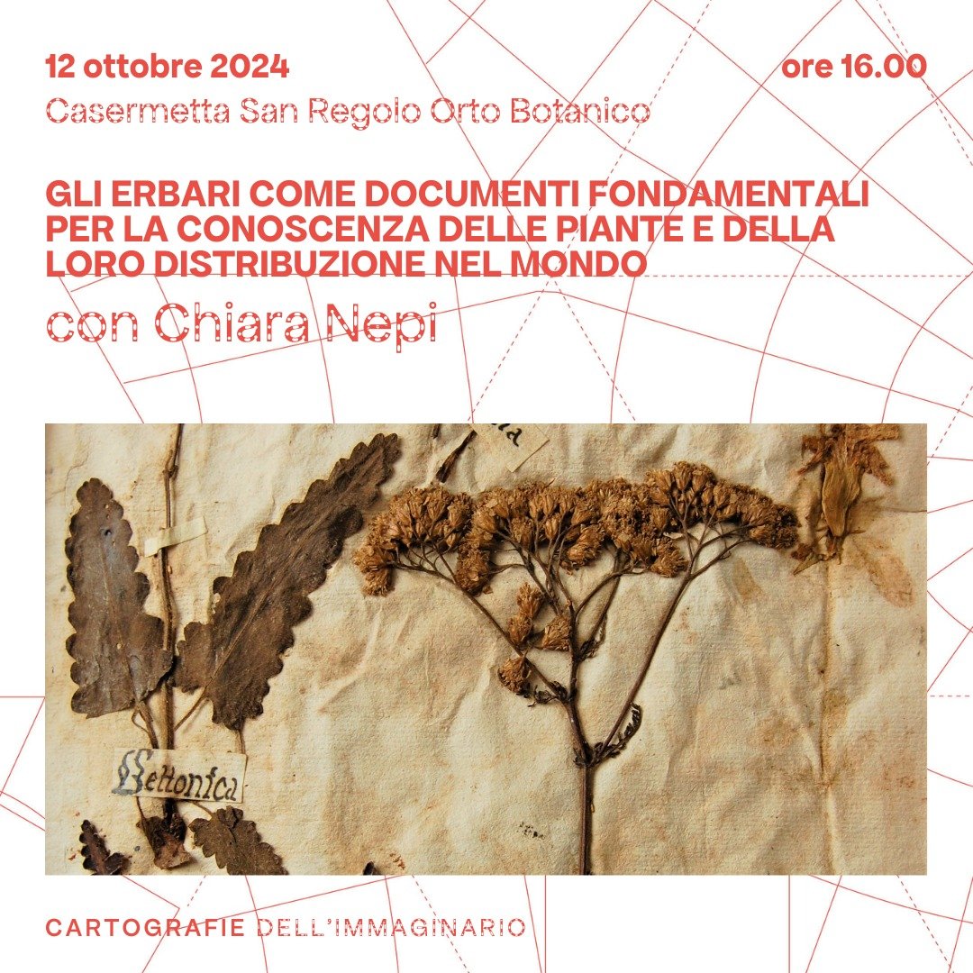 Cartografie dell’Immaginario: ERBARI a cura di Chiara Nepi