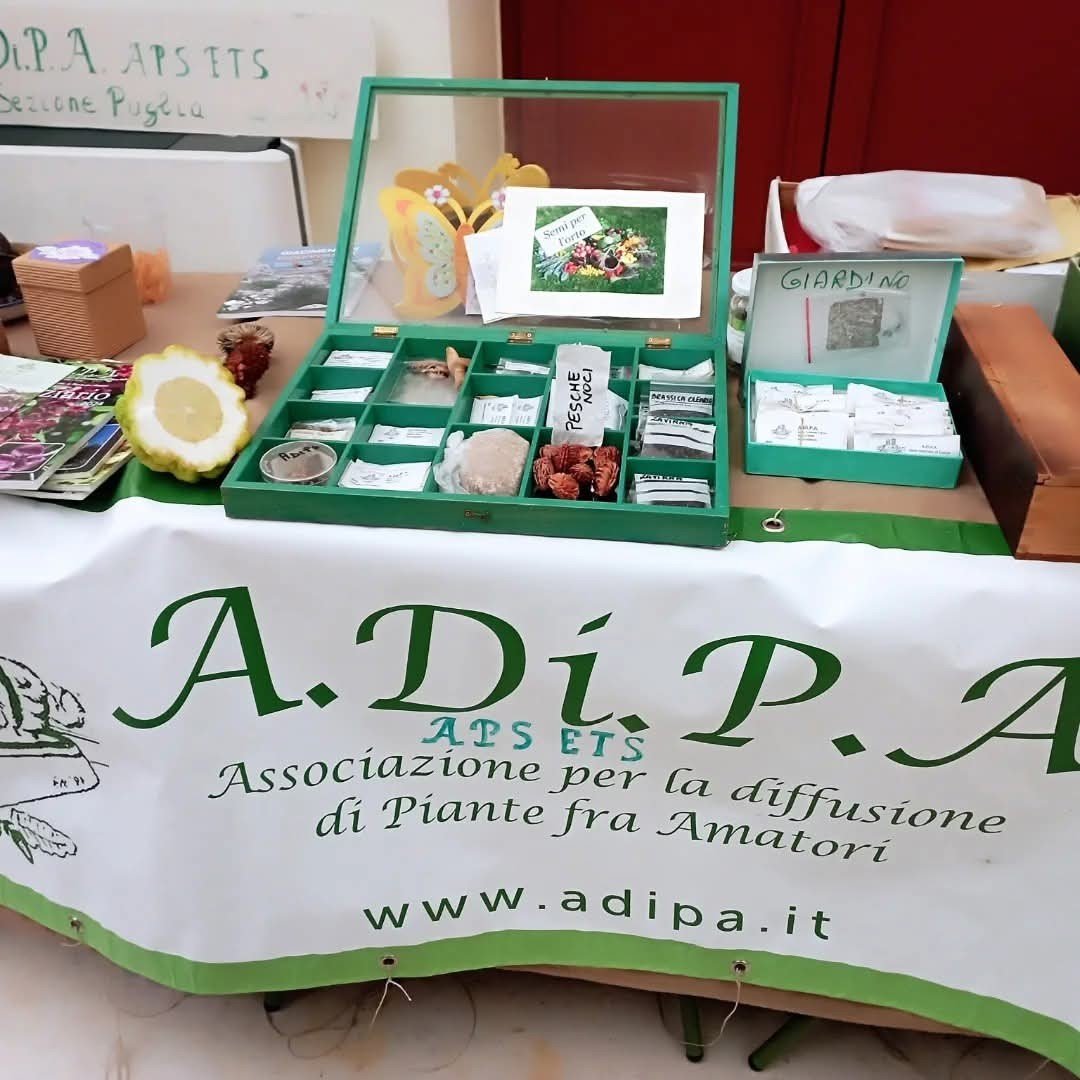 A.Di.P.A. Sezione Puglia a Tiggiano