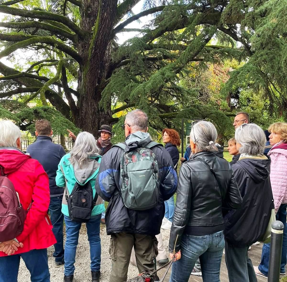 XXIII GIORNATA NAZIONALE DEL TREKKING URBANO “San Francesco 1226-2026: sulle tracce dell’essenziale”
