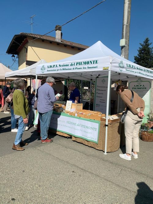 A.Di.P.A. Sezione Piemonte: *Frascaro diventa un giardino*