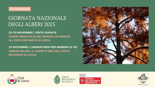 GIORNATA NAZIONALE degli ALBERI all’Orto botanico di Lucca con A.Di.P.A. Sede Centrale