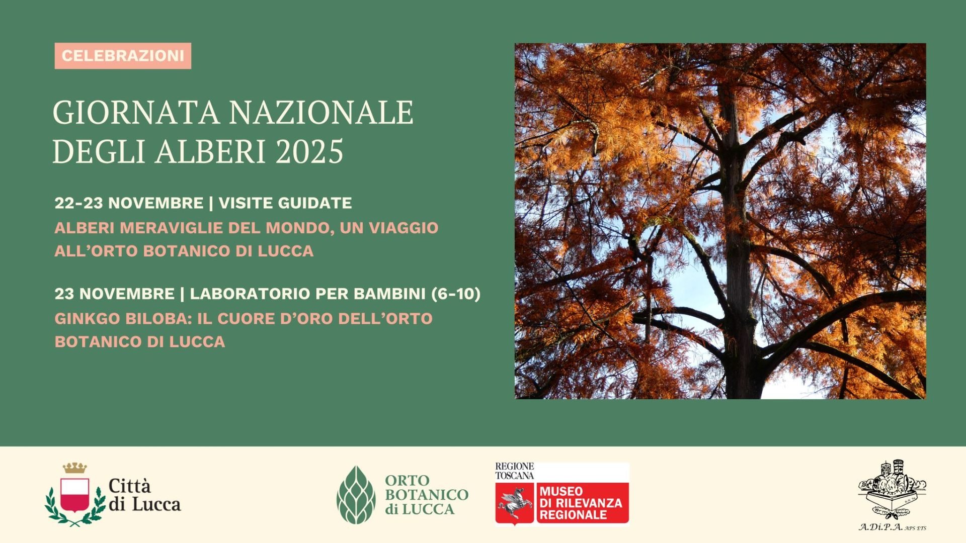 GIORNATA NAZIONALE degli ALBERI all’Orto botanico di Lucca con A.Di.P.A. Sede Centrale