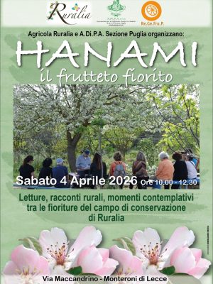 HANAMI: il frutteto  fiorito – Sabato 4 Aprile 2026