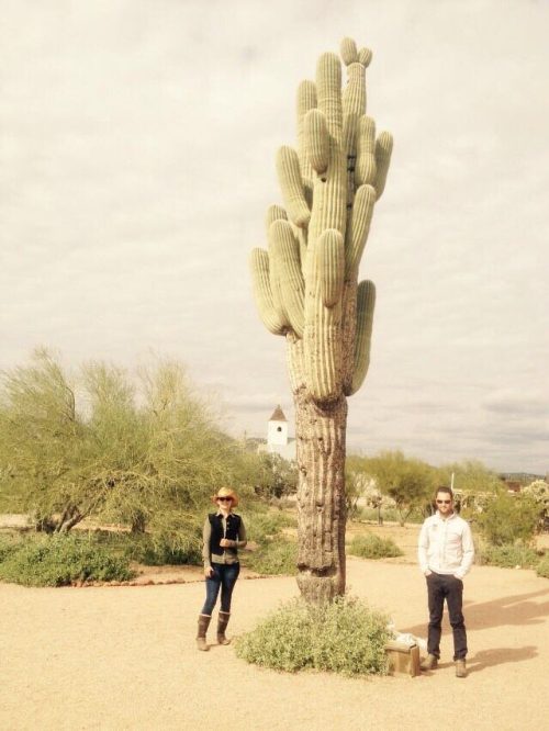 Grasse, non umane, ed altro