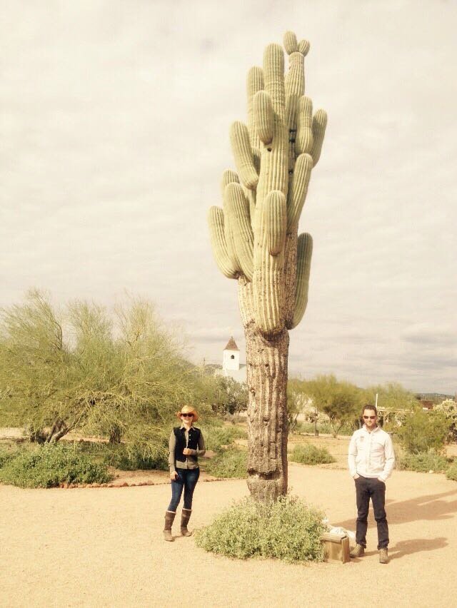 Grasse, non umane, ed altro