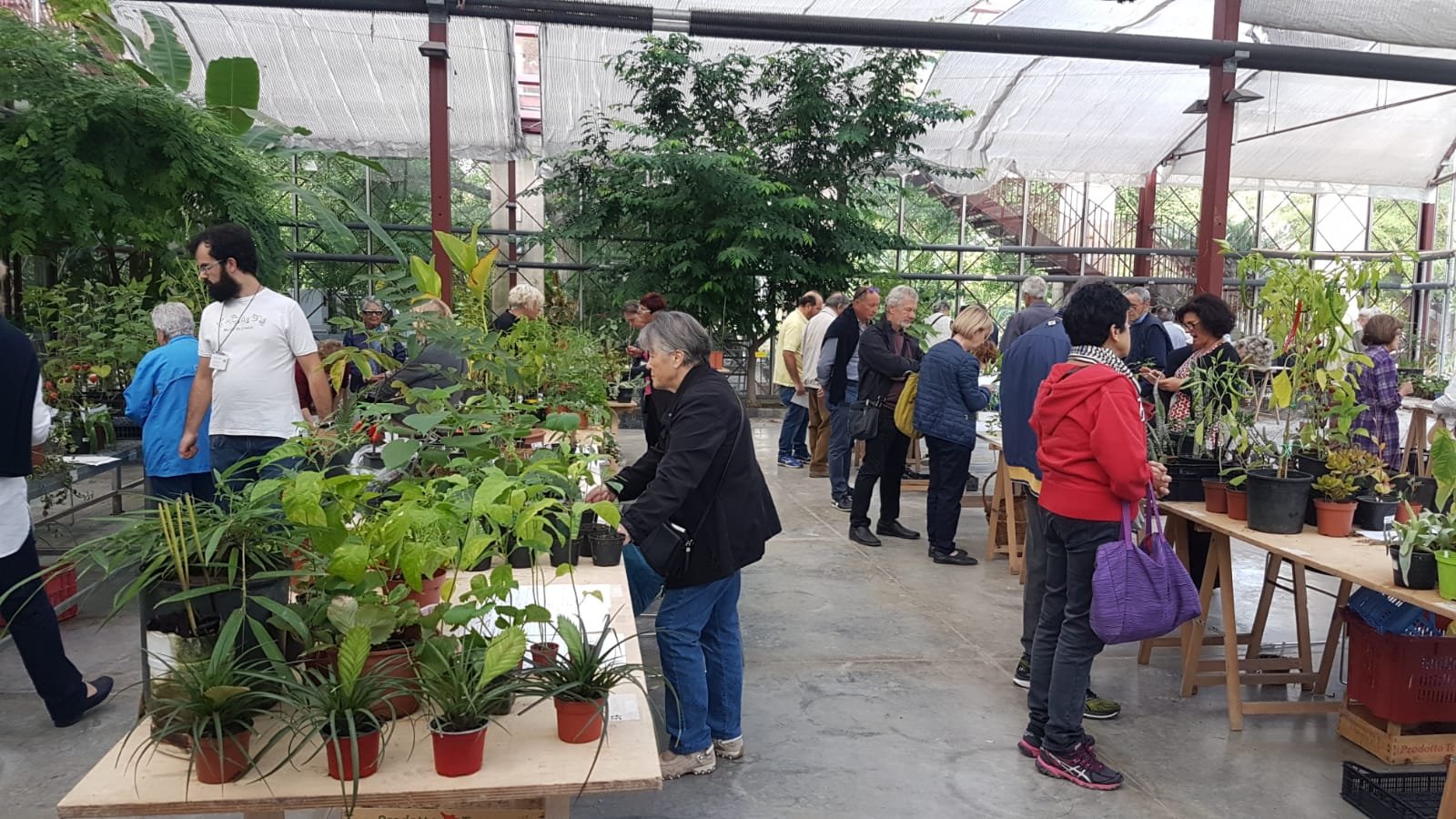 Mostra scambio 6 ottobre 2019 – Orto Botanico Lucca