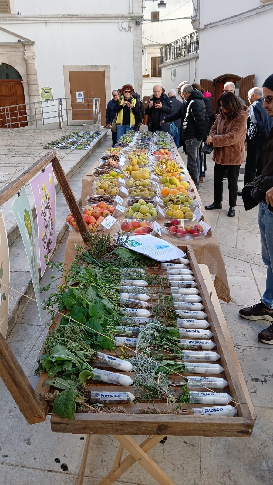 A.Di.P.A. Sezione Puglia tra fate e frutti