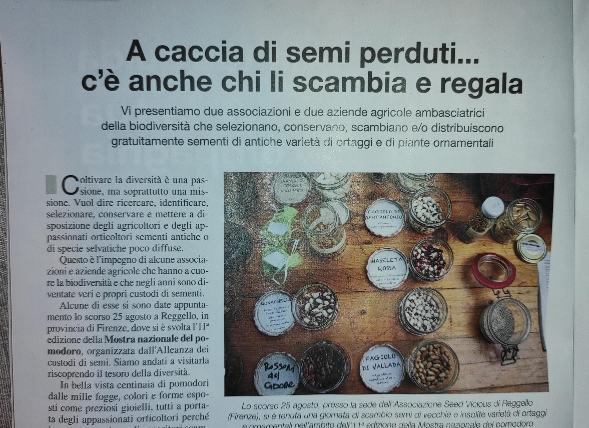 “A caccia di SEMI con A.Di.P.A.” sulla rivista “VITA IN CAMPAGNA”!!!