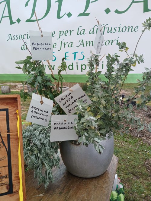 RURALIA e SELVATICA: doppio appuntamento con A.Di.P.A. Sezione Puglia