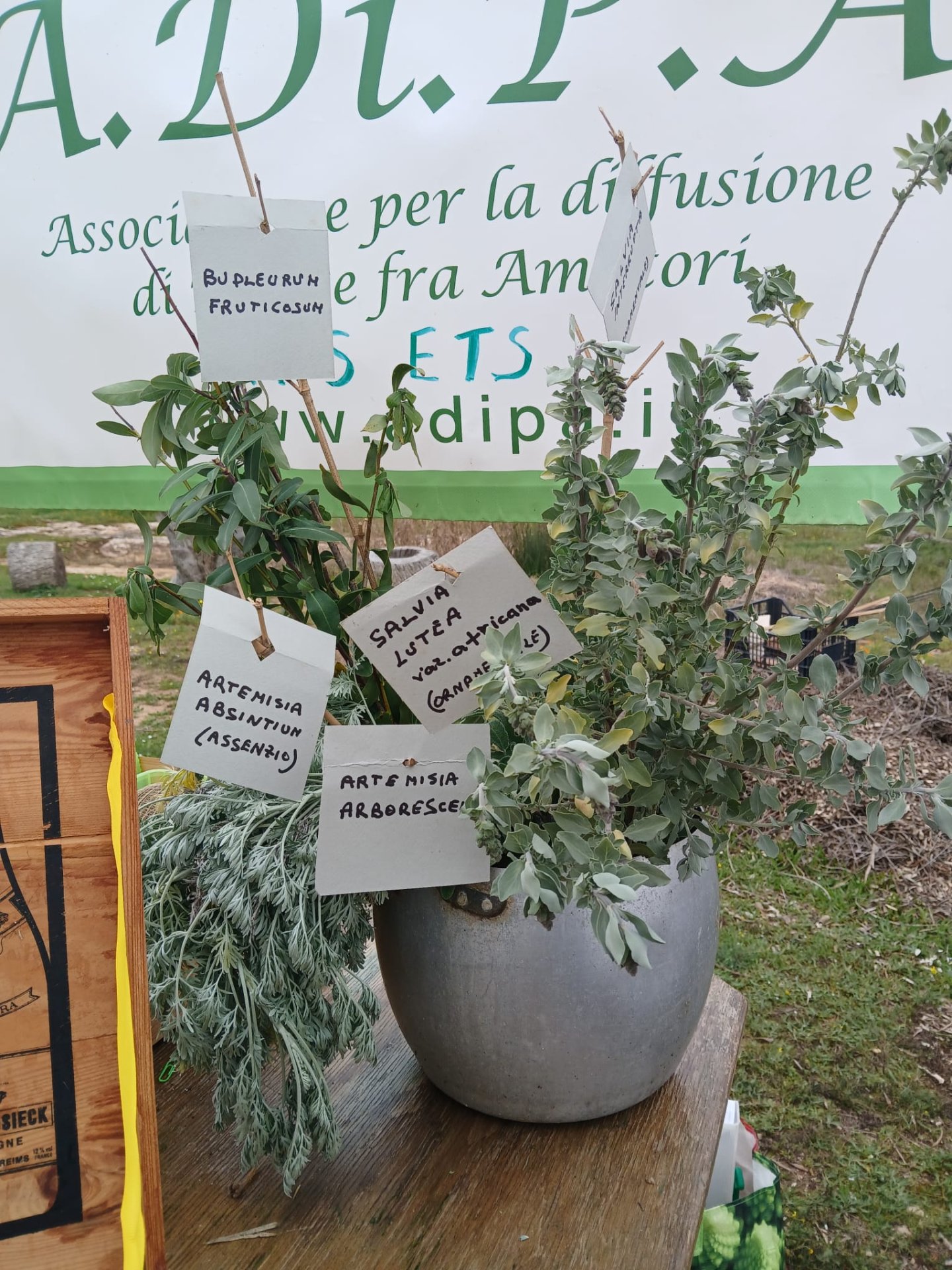 RURALIA e SELVATICA: doppio appuntamento con A.Di.P.A. Sezione Puglia