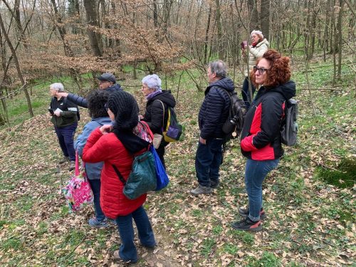 A.Di.P.A. Sezione Piemonte: ancora boschi, ancora fiori spontanei!!!