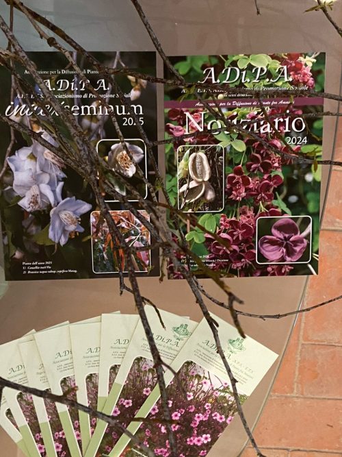 A.Di.P.A. Sede Centrale: rose, ortensie e forbici con Davide Picchi