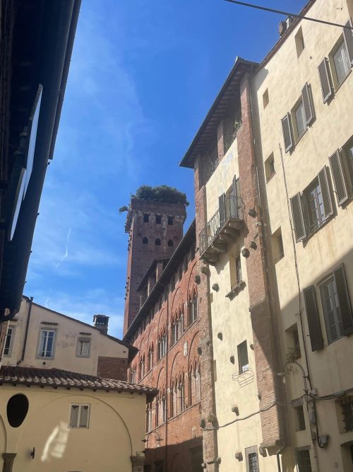 A.Di.P.A. Sezione Piemonte in trasferta a Lucca