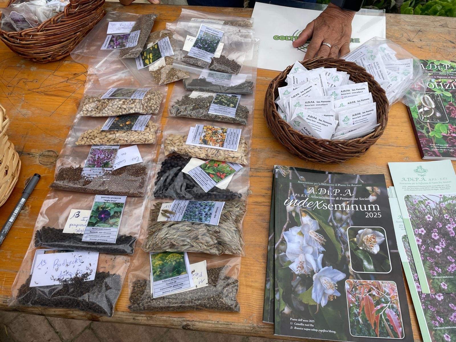 Nuova fioritura per A.Di.P.A. Sezione Piemonte