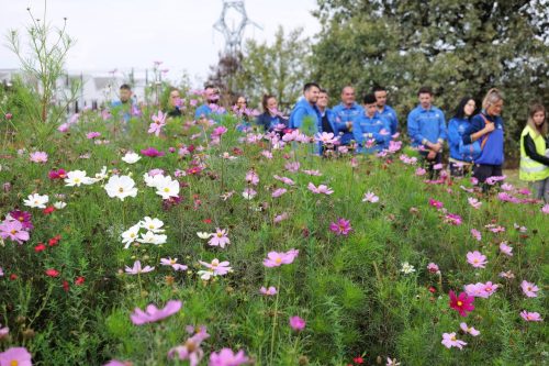 Uno stabilimento sempre più verde con A.Di.P.A Sezione Piemonte