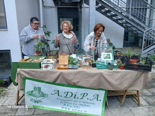 A.Di.P.A. Sezione Puglia: i venerdì di scambio al Museo