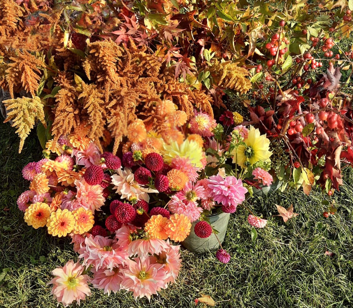 A.Di.P.A. Sezione Piemonte: AUTUNNO a MASINO