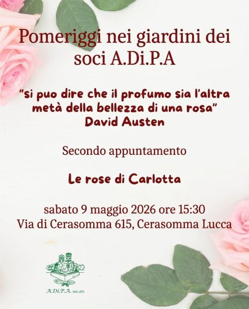 “Pomeriggi nei giardini dei Soci A.Di.P.A.” : le rose di Carlotta Gori