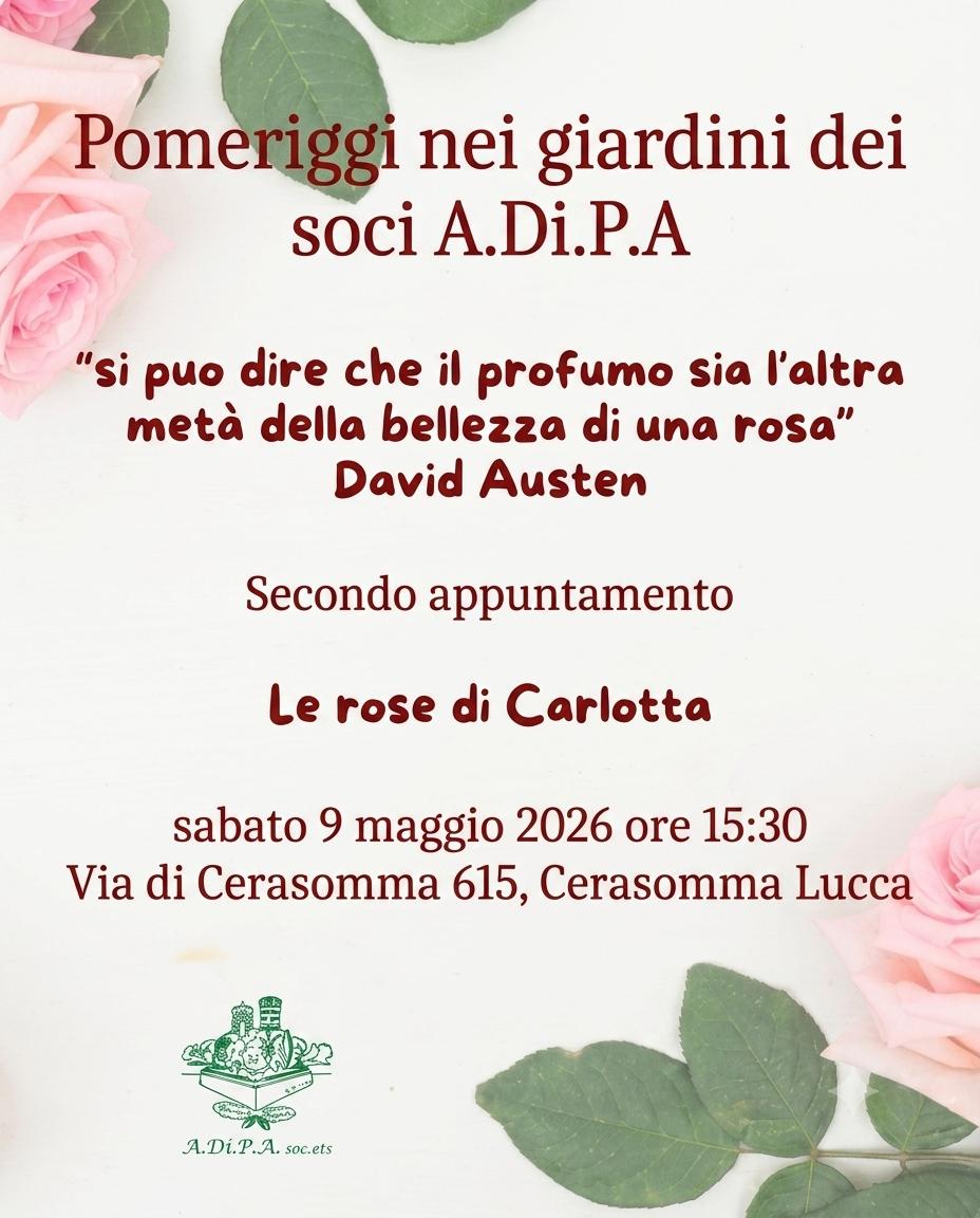 “Pomeriggi nei giardini dei Soci A.Di.P.A.” : le rose di Carlotta Gori