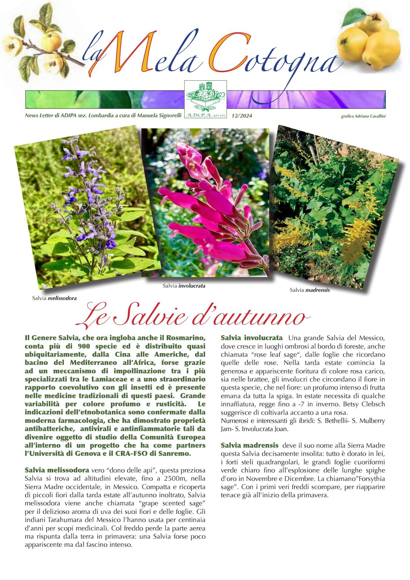 “MELA COTOGNA” la News Letter della Sezione Lombardia