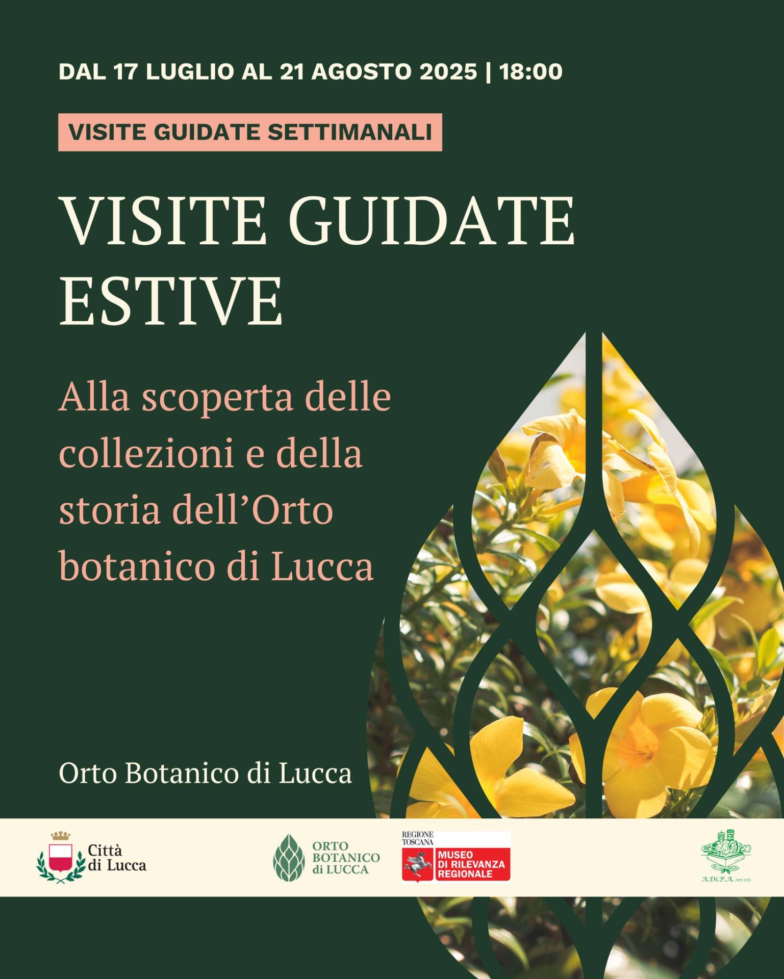 Estate con A.Di.P.A. Sede Centrale: visite guidate insolite presso l’Orto botanico di Lucca