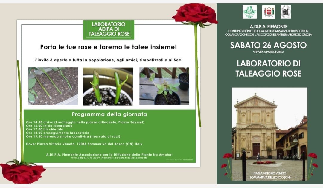A.Di.P.A. Sezione Piemonte: laboratorio di taleaggio ROSE!!!