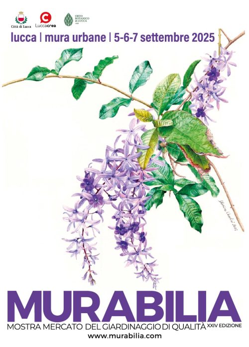 A.Di.P.A. Sede Centrale: MURABILIA 2025