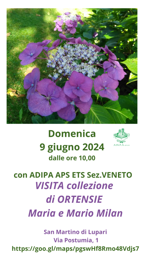 A.Di.P.A. Sezione Veneto: una domenica nel parco delle ORTENSIE!!!