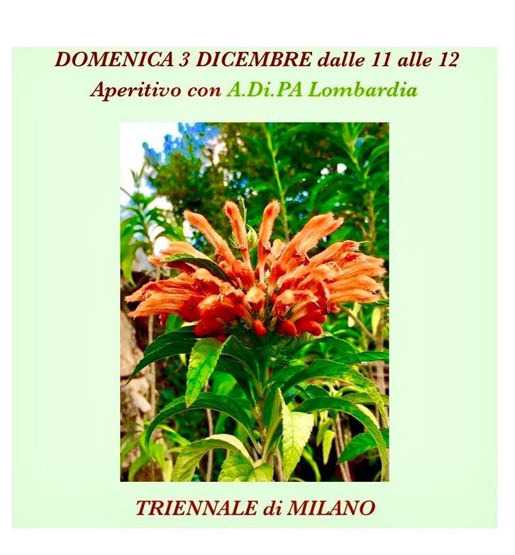 Aperitivo con A.Di.P.A. Sezione Lombardia