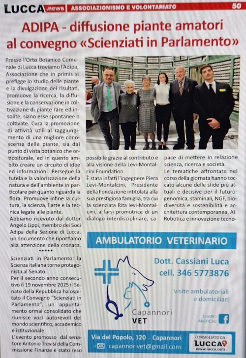 A.Di.P.A. intervista su Lucca.News