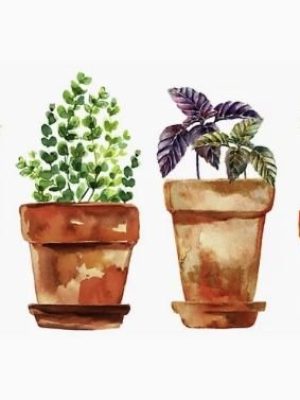 A.Di.P.A. Sede Centrale: MOSTRA – SCAMBIO di PRIMAVERA!!!!!