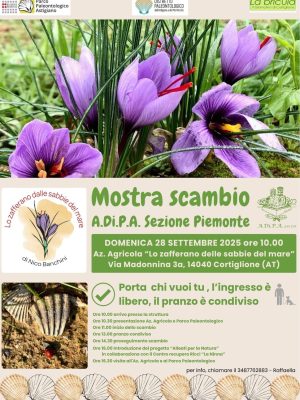 A.Di.P.A. Sezione Piemonte: Mostra – Scambio di Autunno