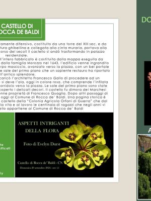A.Di.P.A. Sezione Piemonte: mostra scambio di autunno…e molto altro ancora!!!