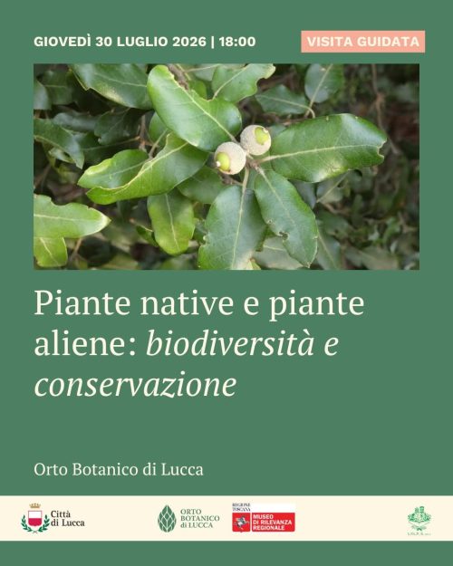 Piante native e piante aliene all’Orto botanico di Lucca: conservazione e biodiversità”