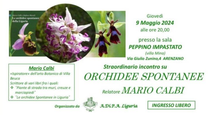 A.Di.P.A. Sezione Liguria: conferenza “Orchidee spontanee” a cura di Mario Calbi