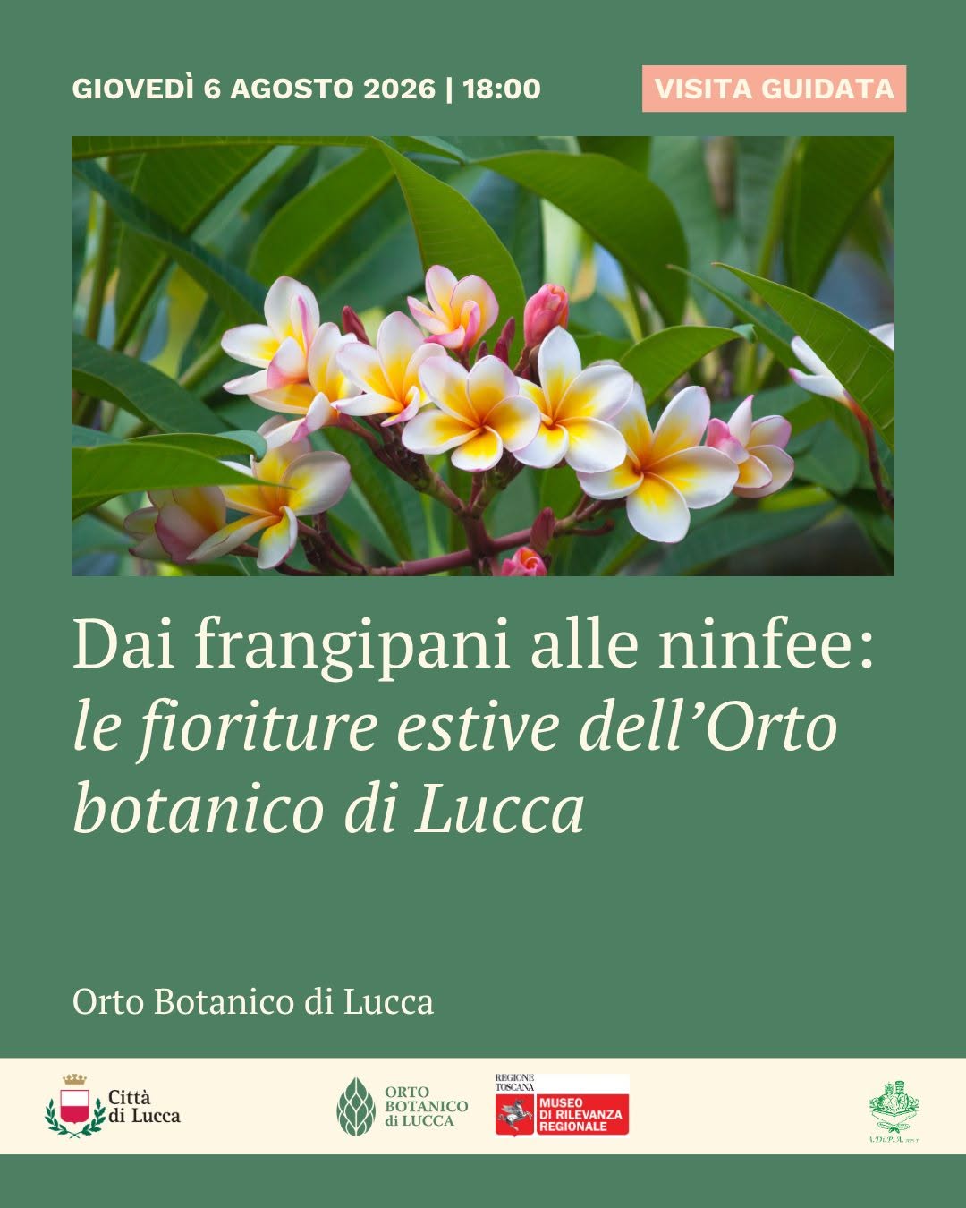 “Dai frangipani alle ninfee: le fioriture estive dell’Orto botanico di Lucca”