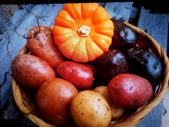 A.Di.P.A. Veneto – Pranzo Sociale condiviso in occasione della Mostra “Patate e Zucche”