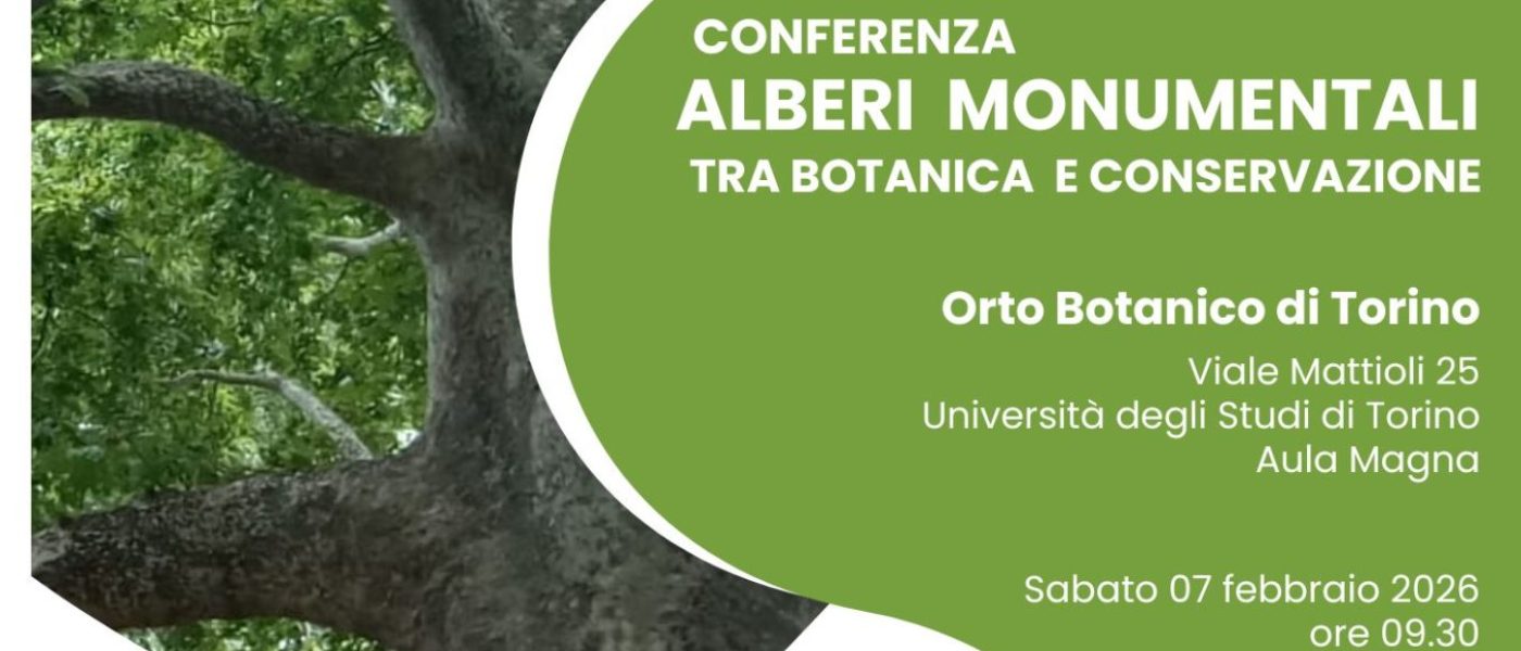 Alberi Monumentali tra botanica e conservazione: conferenza presso Orto Botanico di Torino